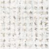 JOEL GREY 224-51
